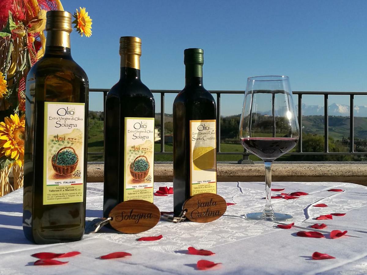 Agriturismo Alla Solagna Colli del Tronto ภายนอก รูปภาพ