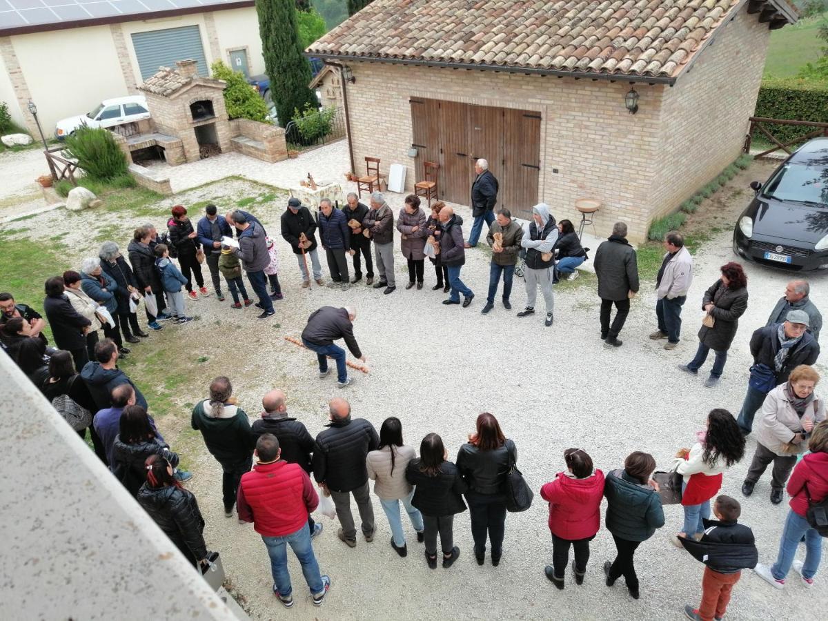 Agriturismo Alla Solagna Colli del Tronto ภายนอก รูปภาพ